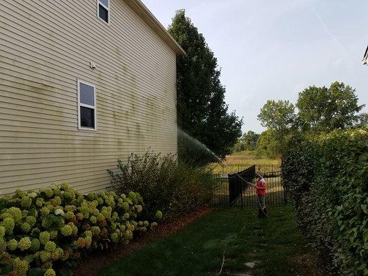 Cleaning home exterior to remove mold and mildew. Using a blend of detergent and bleach at low pressure to safely remove pollutants.