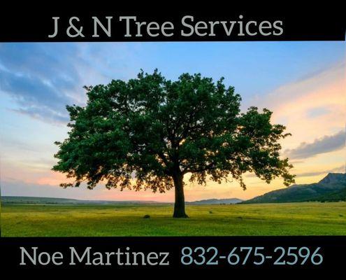 J&N Tree Service