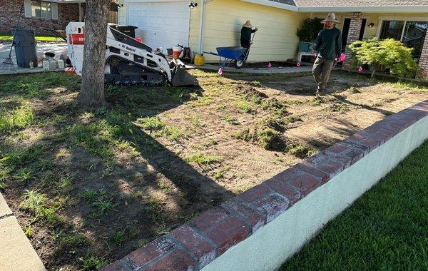 Before:  We first hired Israel to take out lawn and plants except for two trees.
 We hired him back to install our design.