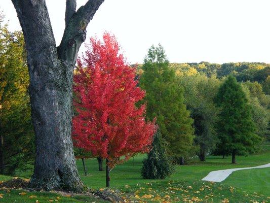 Autumn at its best.