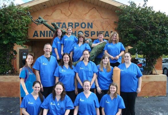 Veterinarian in Tarpon Springs, FL