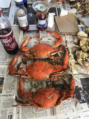 Large male crabs.