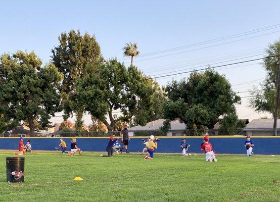 Arcadia National Little League