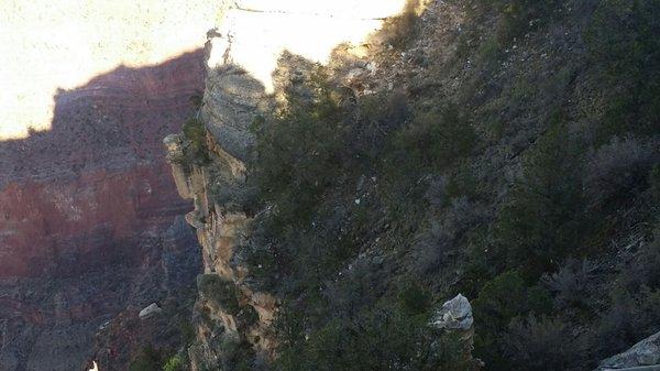 Grand Canyon South Rim Tour