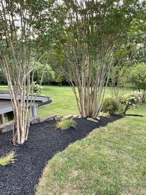 Transforming landscaping & Tree Service