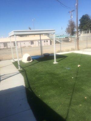 Outdoor dog play area