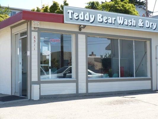 Teddy Bear Wash & Dry