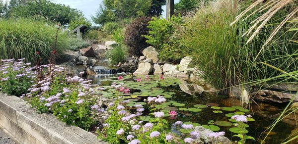 Rain Garden behind the building