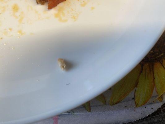 A tooth found IN my pizza