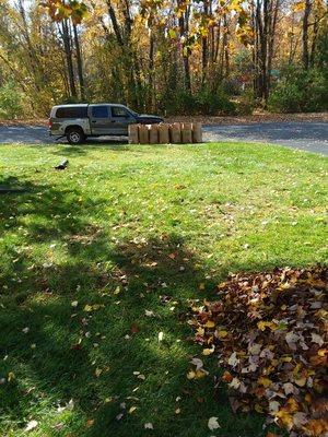 During photo of leaf removal