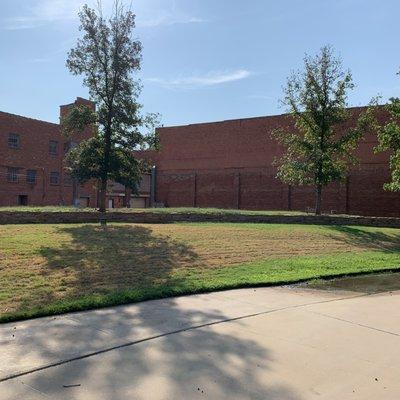 Tress and sidewalk.