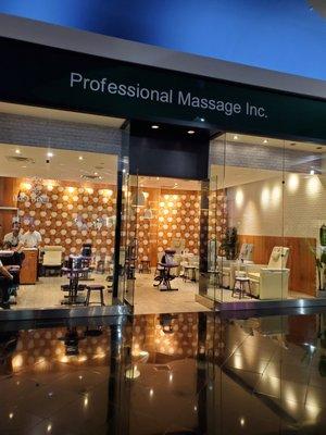 Professional Massage