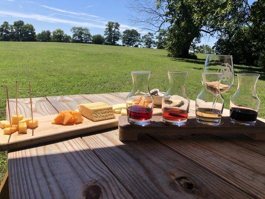 Wine tasting and cheese board. Excellent!