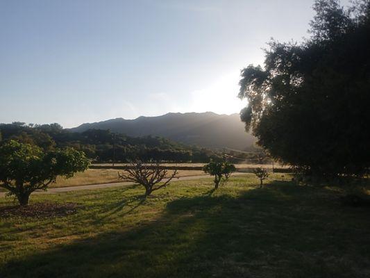 Sunrise at one of the farms I worked on.  Welburn gourd farm