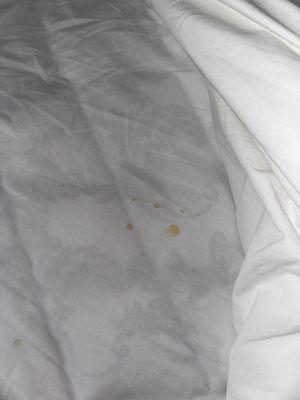 Stains on bed sheets