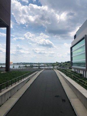 The view of the water inbetween Healy Library and the ISC.