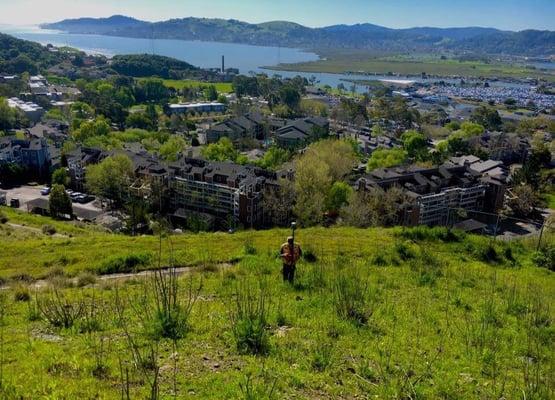 Surveying the San Rafael City Limit