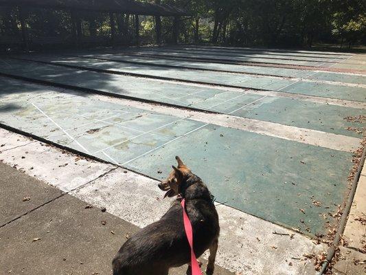 Shuffleboard Courts