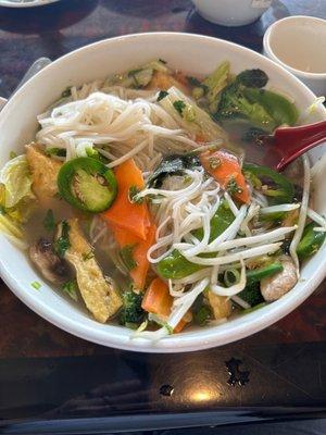 Vegetable pho with beef broth and tofu (sorry I already dug in)