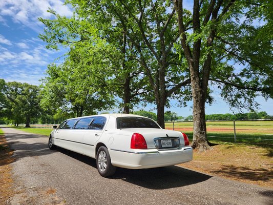 Lady Limo