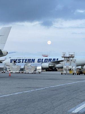 Western Global Airlines