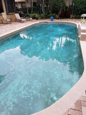 Pool before Acid Wash. Copper Stains.