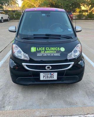 Lice Clinics of America - Pearland