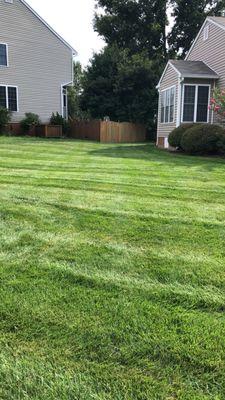 Mowing the lawn