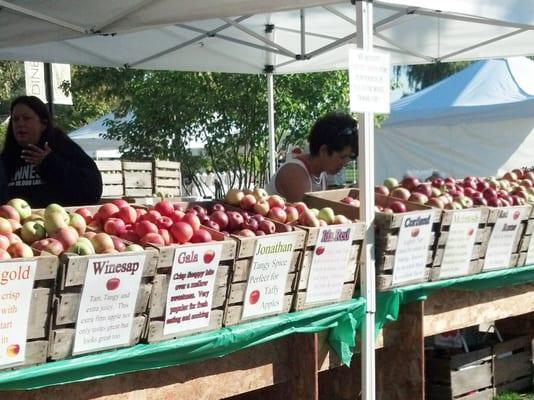 Booth selling Michigan apples. $6 for a small bag of apples and $10 for a large bag of apples (mix and match).