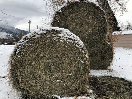 Make hay while you can...