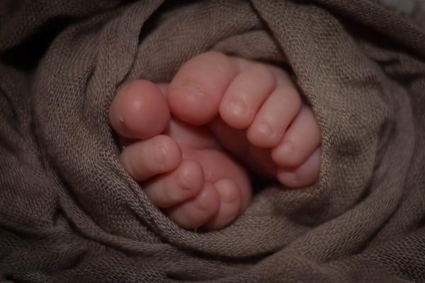 Baby Toes