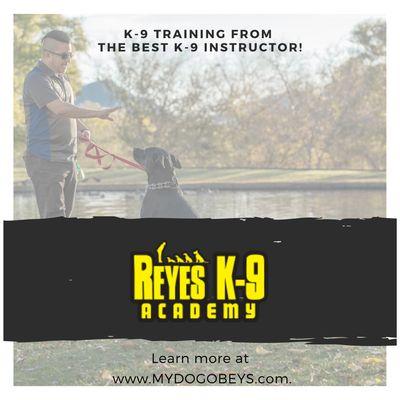 K-9 Training from the best K-9 Instructor!