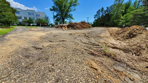 Unfinished tree and parking lot service