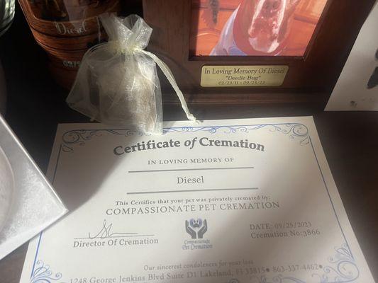 My dogs cremation certificate