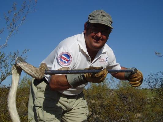 Dave and rattler