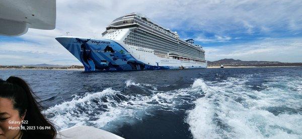 Norwegian Bliss