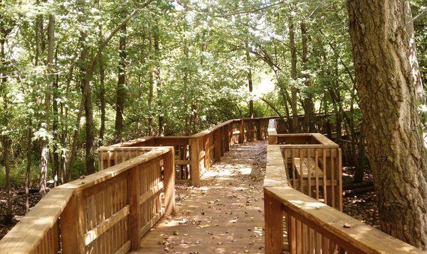 Everyone enjoys a walk in our nature preserve!