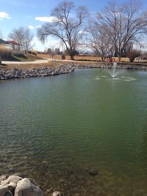 Fountain on the pond