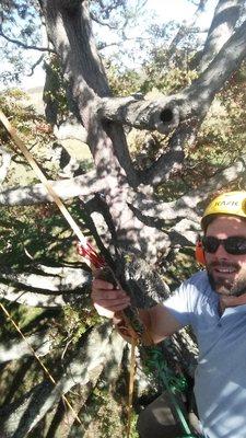 Working in 400 year old White Oak