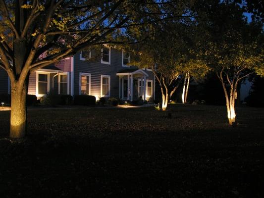 Low voltage LED landscape lighting.