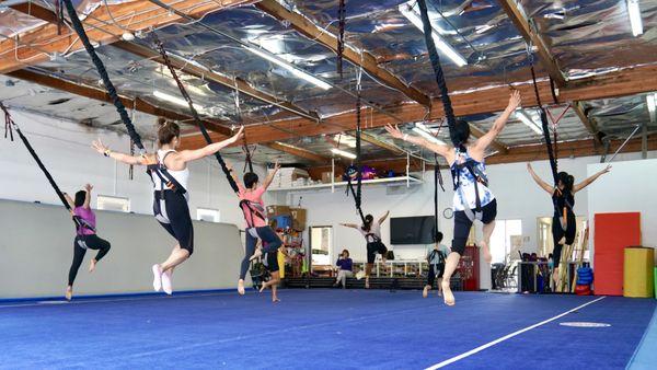 Bungee Fitness class in San Diego