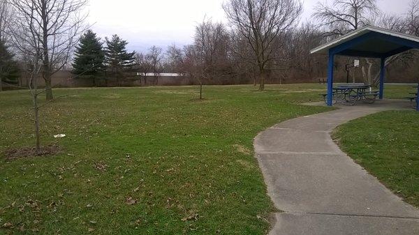 green space with newly planted trees