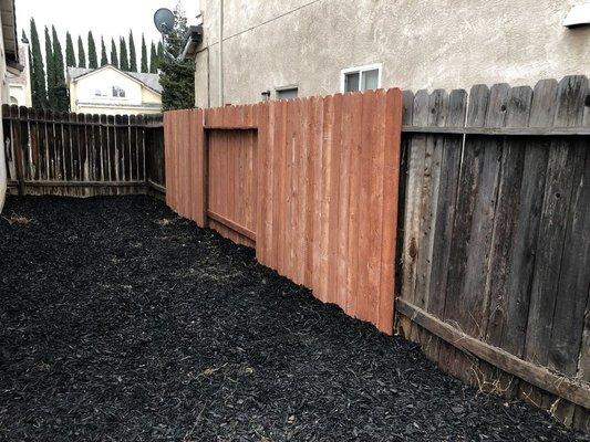 Fence repairs