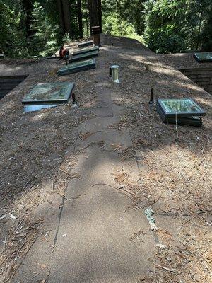 Roof Cleaning + Skylights