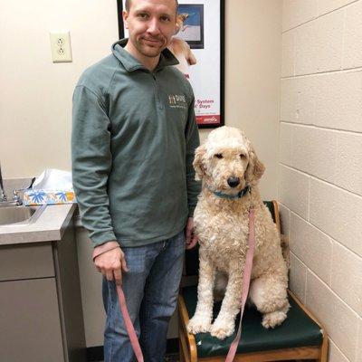 Our goldendoodle loves going to see Dr. Given. She hops right up in the chair to wait for him to come in and love on her every time.