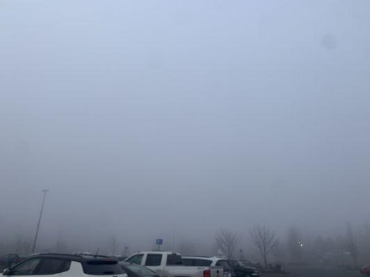 Super duper foggy in the parking lot..