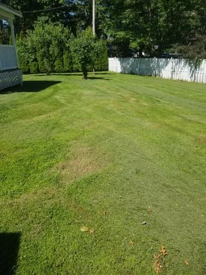 Finished other side of lawn