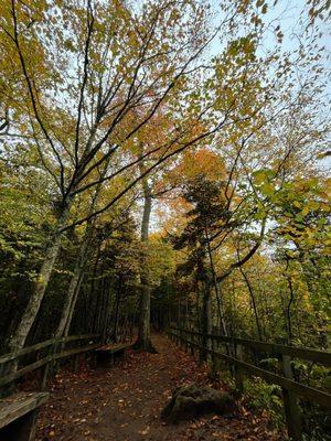 Miners Fall hike