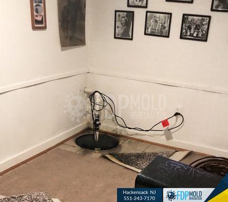 Mold remediation process