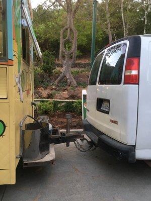 Taco truck and cool tree!